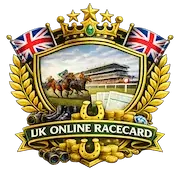 onlineracecarduk.com